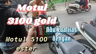 motor suzuki thunder bingung pakai motul tipe 3100 gold atau 5100 ester
