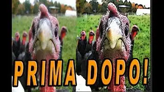 TUTORIAL (QUASI) SU PHOTOSHOP  COME TRASFORMARE FOTO IN CARTONI ANIMATI