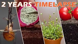 TOP 32 most beautyful timelapse I've ever seen in 30 mins