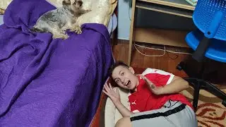 Обзор на мою собаку часть 2