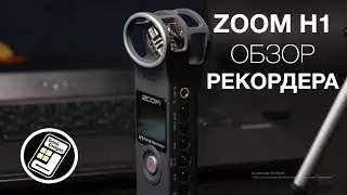 ZOOM H1 — оптимальный выбор для начинающего видеографа