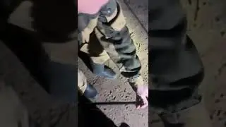 шардара радует
