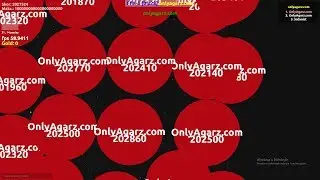 AGARZ YENİ GOLD BASMA SERVERİ! (onlyagarz.com)