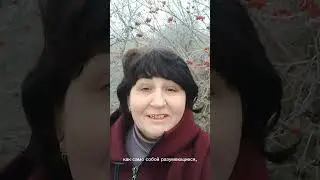 31 января 2024 г.