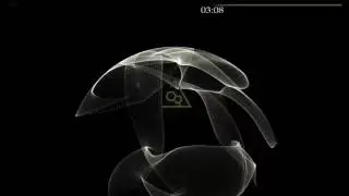 LeSage - Black Tide