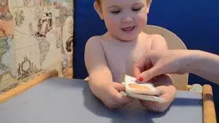 Изучаем животных