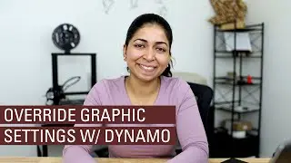 Override graphic settings with Dynamo BIM and Python