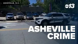 Violence on Lexington Avenue in Asheville sparks debate over police tactics