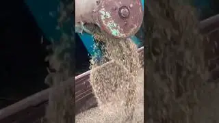 Косим 