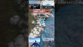 Потрясающая Камчатка (тизер)