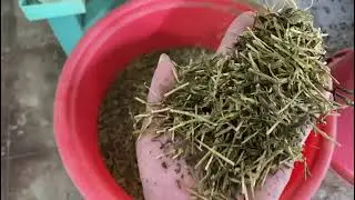 3 stages 24 cameras tea color sorter 800 1000kg output per hour