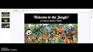 EDCI 270: Screencast type demonstration tools