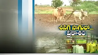 ప్రకాశం జిల్లా వ్యవసాయశాఖ జేడీతో ముఖాముఖి