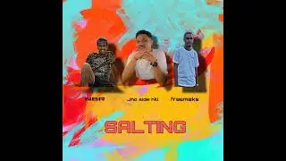 Side Hill - Salting Ft. Sandiwarap (Official Audio)