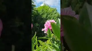 Вперёд в дорогу