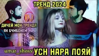 Тренды 2024 усн Нара лояй 