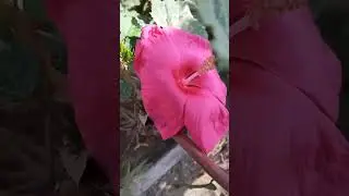 28 августа 2023 г.