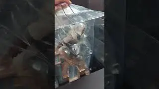 Unboxing the Assassin's Creed Mirage COLLECTOR'S EDITION 