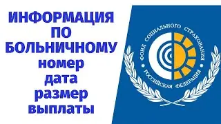 Как узнать размер выплат по больничному листу, сроки и номер больничного.