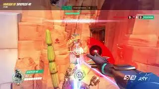 siputpecut-MY's Highlight*