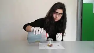 Asit Metal tepkimesi incelenmesi