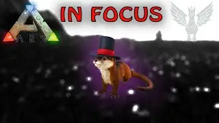 IN FOCUS: Otter - Everything you need to know in 2021 | Ark Survival Evolved 2021