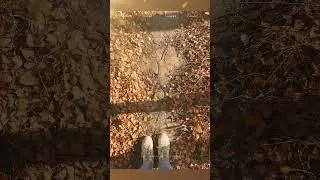 Осень 🍂 