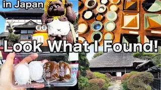 Japan VLOG🇯🇵 | Japan’s Best Pottery Festival: Mashiko Pottery Market Vlog 🇯🇵