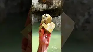 Found a pyrite crystal 