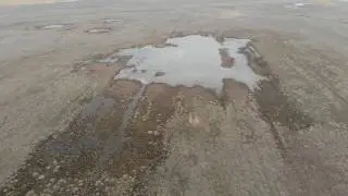 Рыжая весна 2020. Валуевка.