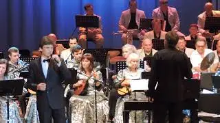 Лебединая верность и Королева красоты