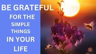 Echoes of Gratitude: Unlocking Life's Fullness