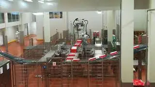Линия упаковки колбасы (завод 