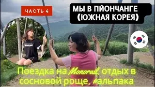 Отпуск в Пйончанге Завтрак в Dragon Valley Hotel|Экскурсия Alpaka Monorail, сосны|평창 모노레일 소나무숲 힐링