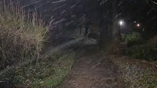 Snowfall on a Beautiful Path in a Winter Night