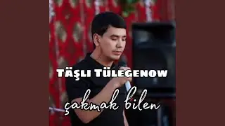 Çakmak bilen