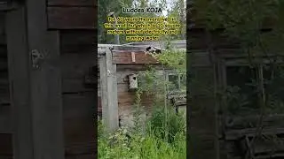 for 60 years the man lived in this small hut which is 10 square meters.