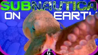 This octopus tries to steal my mask! - SUBNAUTICA ON EARTH