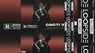 [FREE] TRAVIS SCOTT LOOP KIT / SAMPLE PACK - CACTI 3 (DON TOLIVER, CUBEATZ, OZ, DARK, PVLACE)