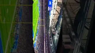 Lions ￼chant