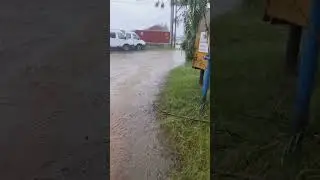 ASMR rain#rain #water #ливень #водопад #шутка #юмор