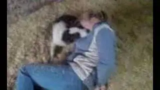 All tied up at the farm
