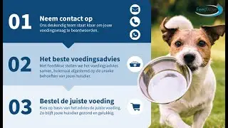 FeedWise | Gratis onafhankelijk voedingsadvies bij Medpets