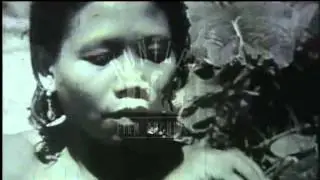 Tribe Gathers Food in the Malayan Jungle, 1940s - Film 95457