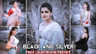 Black And Silver Tone Lightroom Preset | lightroom presets | New lightroom preset free lightroom