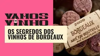 Por que os vinhos de Bordeaux são tão elogiados? | Vamos de Vinho