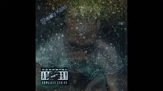 Sheezy Kane - N.I.G.G.A (Official Audio)
