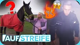 CHAOS auf dem Hof: Erst brennt's 🔥,​ dann ist das Pferd weg! 🐴 ​| Auf Streife | SAT.1