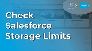 Check Salesforce Storage Limits 