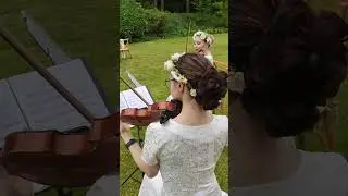 Vivaldi - "Spring" 🌼 Quartet "Elite" #weddingmusic #wedding #quartet #вивальди #свадьба
